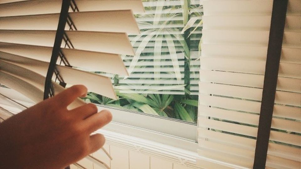 Người điều chỉnh rèm sáo ở cửa sổ nhìn ra cây xanh.